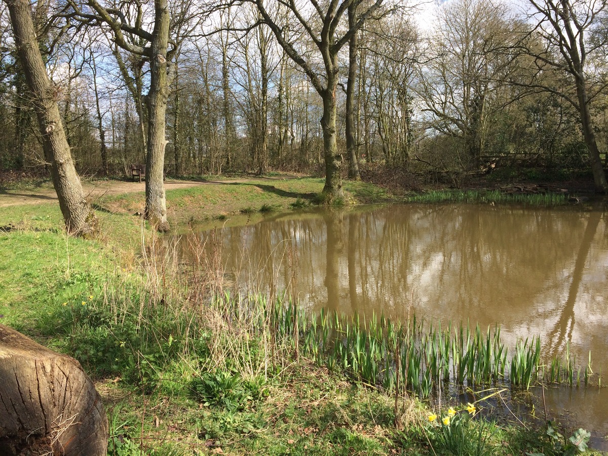 THE UPPER GREEN POND LOOKING LOVELY IN THE SUNSHINE.